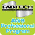 AWS Professional Program