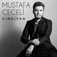 Mustafa Ceceli Şarkıları - İnternetsiz poster