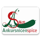 Ankurs Nice n Spice आइकन
