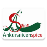 Ankurs Nice n Spice أيقونة
