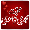 Urdu Love Shayari