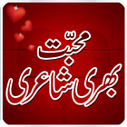 Urdu Love Shayari-icoon