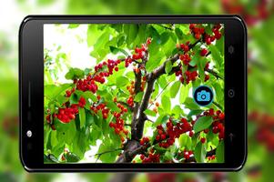 Sweet Selfie HD-Camera For HTC capture d'écran 2