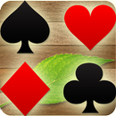 Solitaire Rummy Poker cards aplikacja