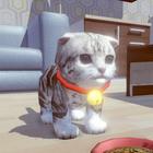 Cute kitten Cat Virtual Pet icono