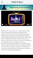 Steelbird Music poster