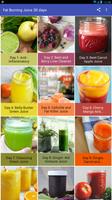 Fat Burning Juices- Detox Drinks 30 days Diet Plan plakat