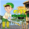 City Cricket