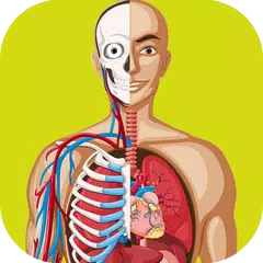 AR Human Atlas APK 下載