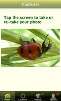 1 Schermata Lost Ladybug