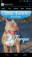 Blue Fawn Kennels Poster