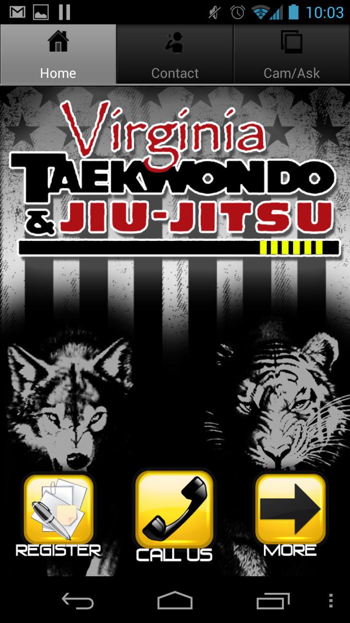 Virginia TaeKwonDo Academy APK for Android Download