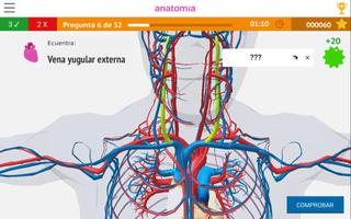 Anatomía 360 포스터