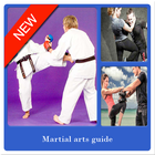 Martial arts guide biểu tượng
