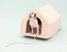 3 Schermata Modern Dog House Design