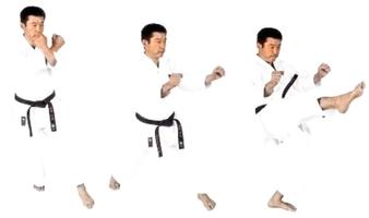 Karate Technique اسکرین شاٹ 3