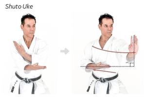 Karate Technique poster