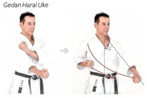 Karate Technique اسکرین شاٹ 1