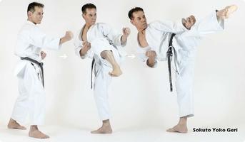 Karate Technique اسکرین شاٹ 2