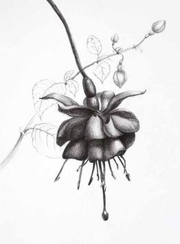 Pencil Drawing Techniques For Android Apk Download