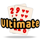 29 Card Game Ultimate APK