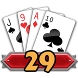 29 Card Game Challenge