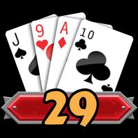 29 Card Game Challenge 스크린샷 3