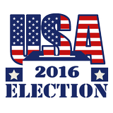 USA Election 2016 icône