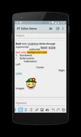 Rich Text Editor Demo screenshot 1