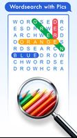 100 PICS Word Search Puzzles ポスター
