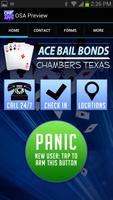 Poster Ace Bail Bonds Chambers