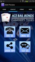 Ace Bail Bonds Chambers capture d'écran 1