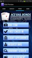 2 Schermata Ace Bail Bonds Chambers