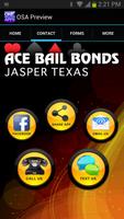 Ace Bail Bonds Jasper capture d'écran 1