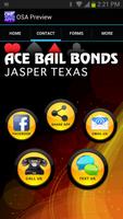 Ace Bail Bonds Jasper screenshot 1