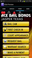 Ace Bail Bonds Jasper capture d'écran 2