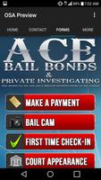 2 Schermata Ace Bail Bonds of TX