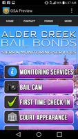 Alder Creek Bail Bonds imagem de tela 2