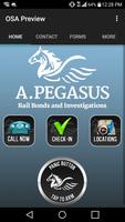 A.Pegasus Bail Bonds Affiche