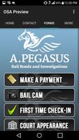 A.Pegasus Bail Bonds Ekran Görüntüsü 2