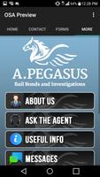 برنامه‌نما A.Pegasus Bail Bonds عکس از صفحه