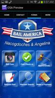 Bail America Angelina screenshot 2