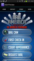 Bail America Liberty capture d'écran 2