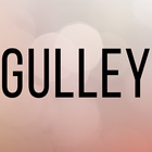 Gulley Bail Bonds icône