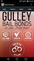 Gulley Bail Bonds Plakat
