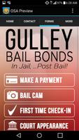 Gulley Bail Bonds تصوير الشاشة 2