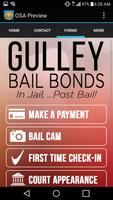 Gulley Bail Bonds capture d'écran 2