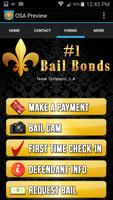 Number 1 Bail Bonds capture d'écran 2