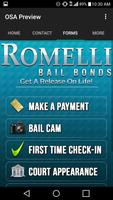 Romelli Bail Bonds captura de pantalla 2