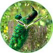 Peacock Clock